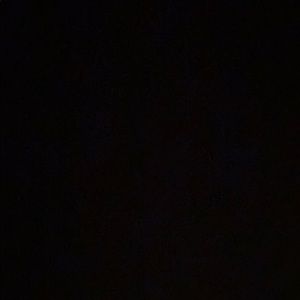 Meet your Posher, Lily